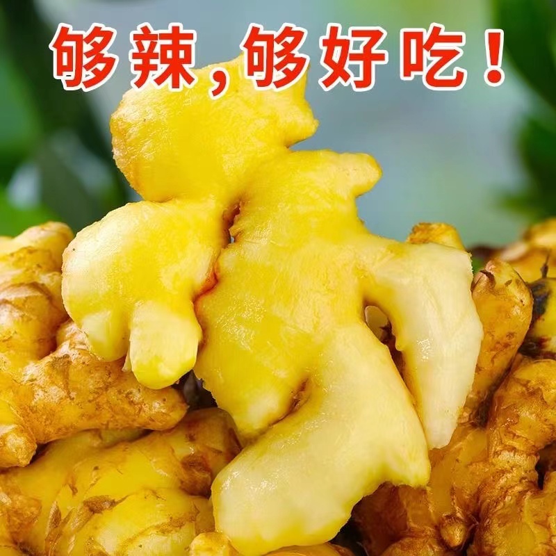 【今年新姜】云南高山小黄姜新鲜现挖生姜老姜嫩姜特级姜整箱批发