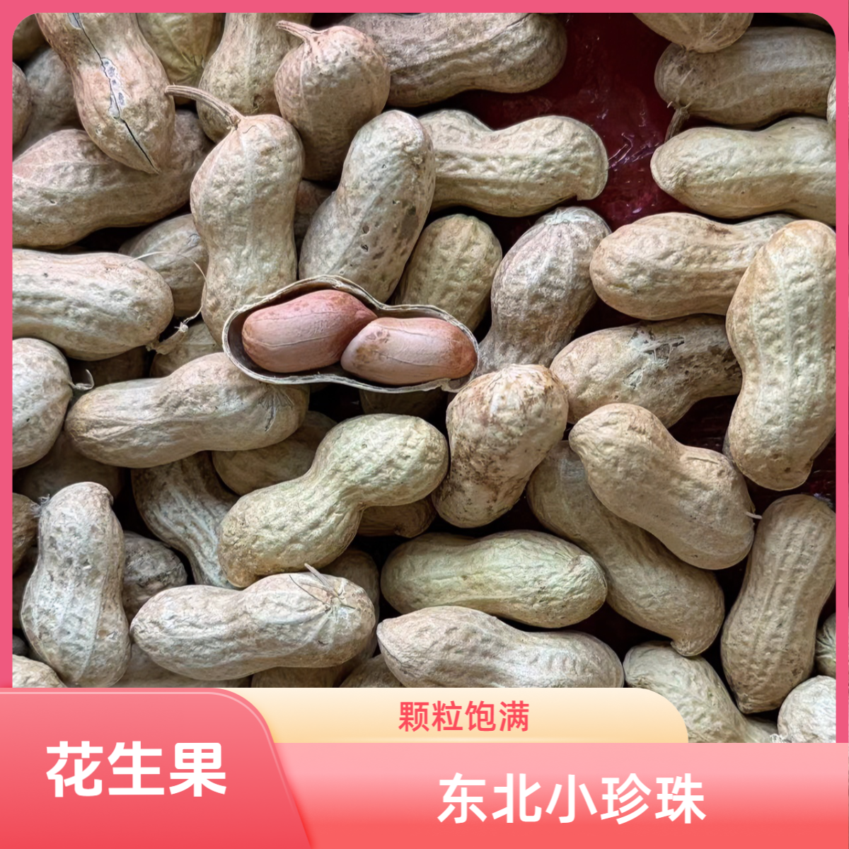 辽宁红崖子生花生果
