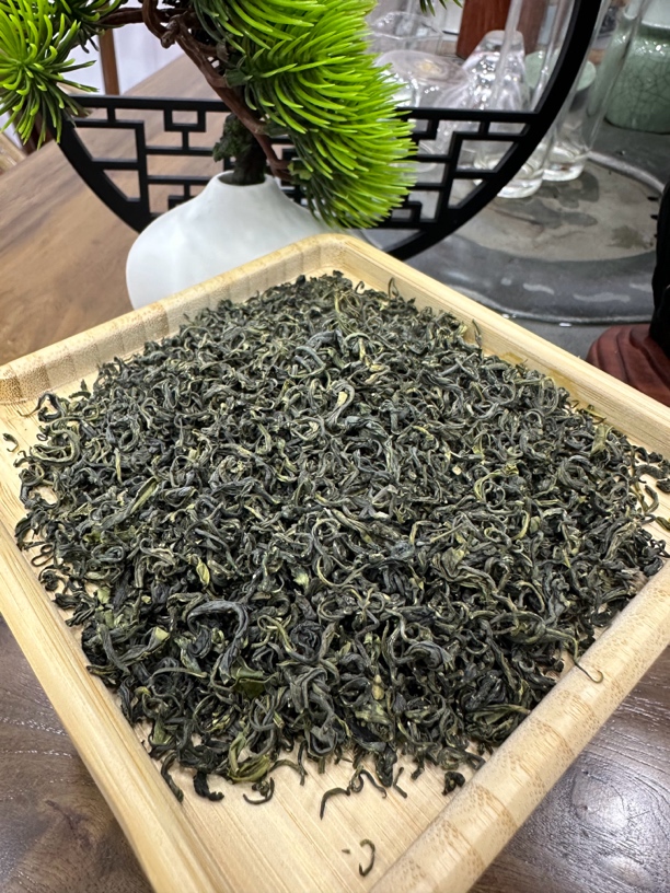 崂山绿茶25年豆香味绿茶 特