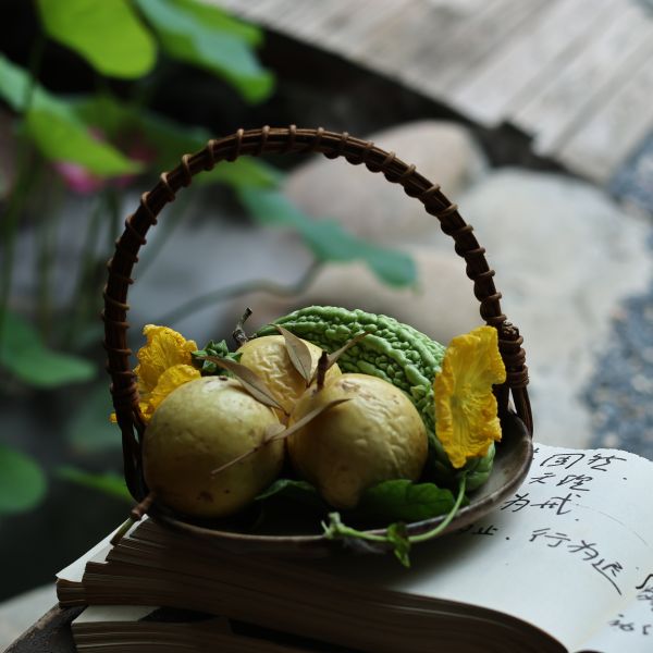 【柿间浅憩】沉腐老陶泥柴烧*提篮盘*餐盘