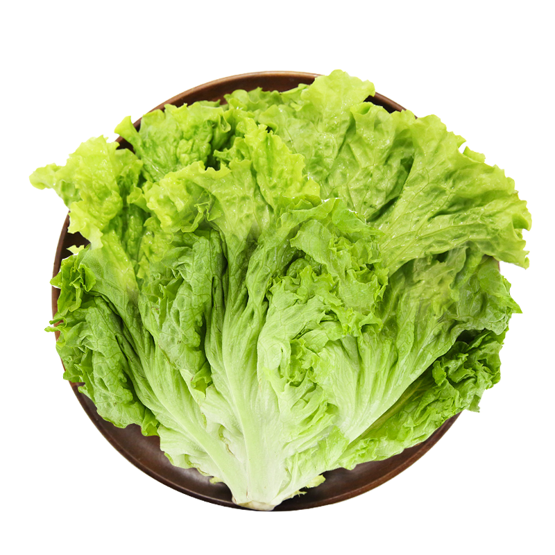 缤纷田园每日鲜奶油生菜 约380g