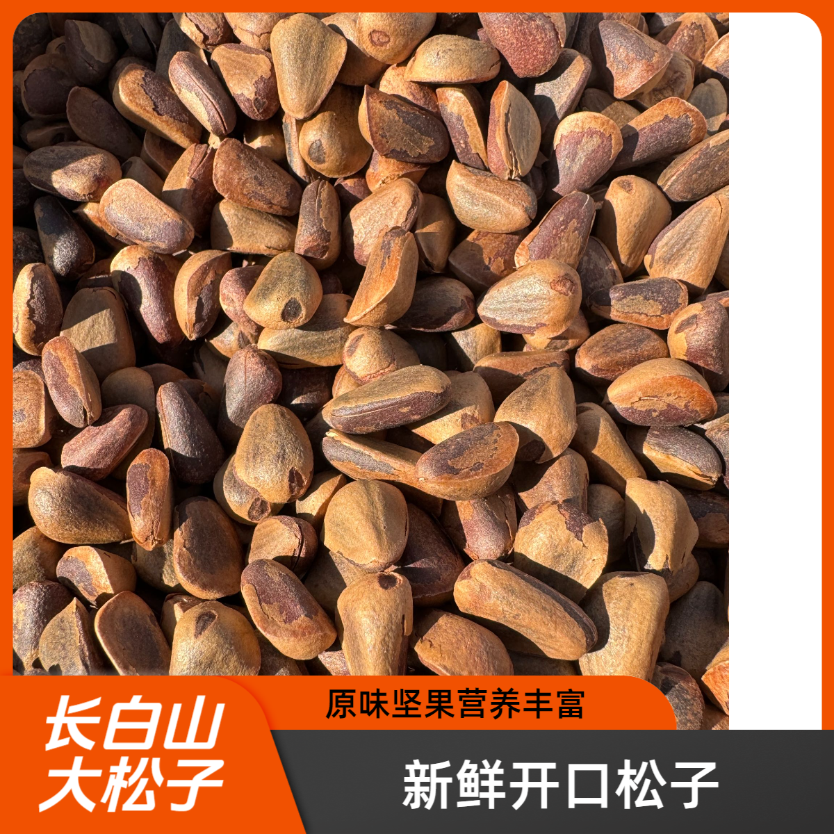 新货东北大松子原味红松子大颗粒精选零食坚果