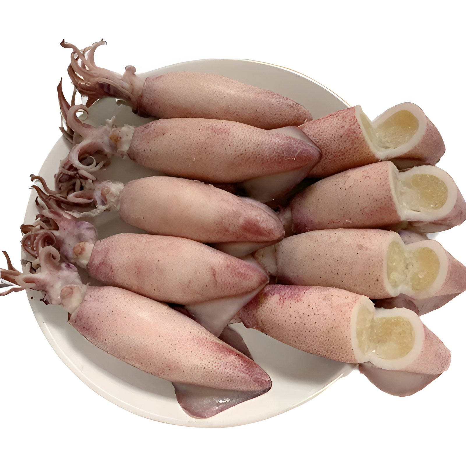 山东威海新鲜冷冻海兔笔管鱼百分百满籽笔管鱼 顺丰快递发货海捕