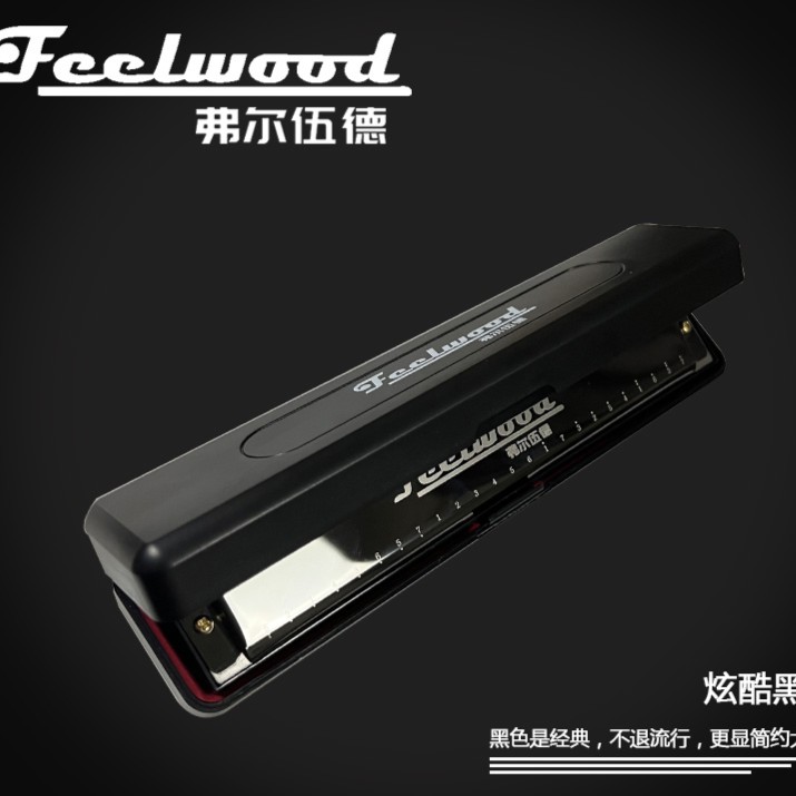 【老段吉他】推荐复音口琴24孔C调专业演奏成人学习弗尔伍德品牌