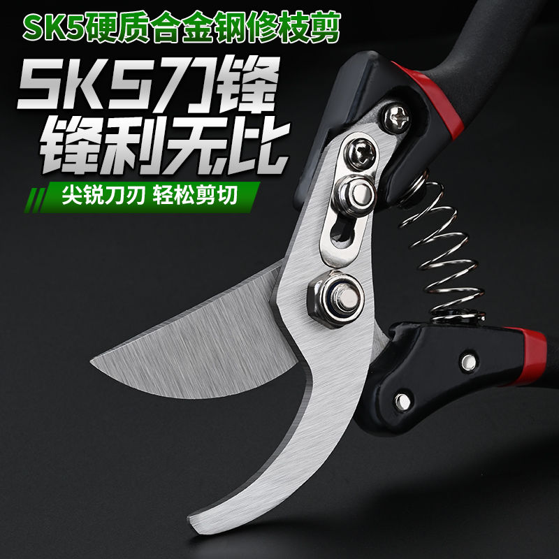 修枝剪刀家用树枝剪强力绿化园林省力锋利果树桑剪园丁剪园艺剪刀