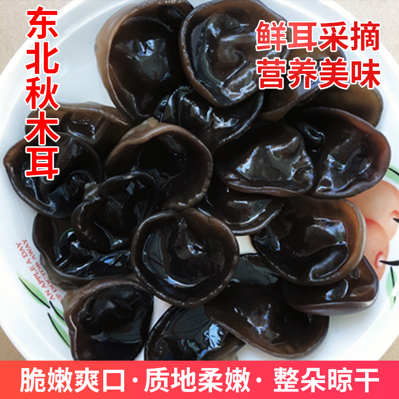 【粉丝专享】1斤装赵大妹东北秋木耳23年新耳干净肉质厚实