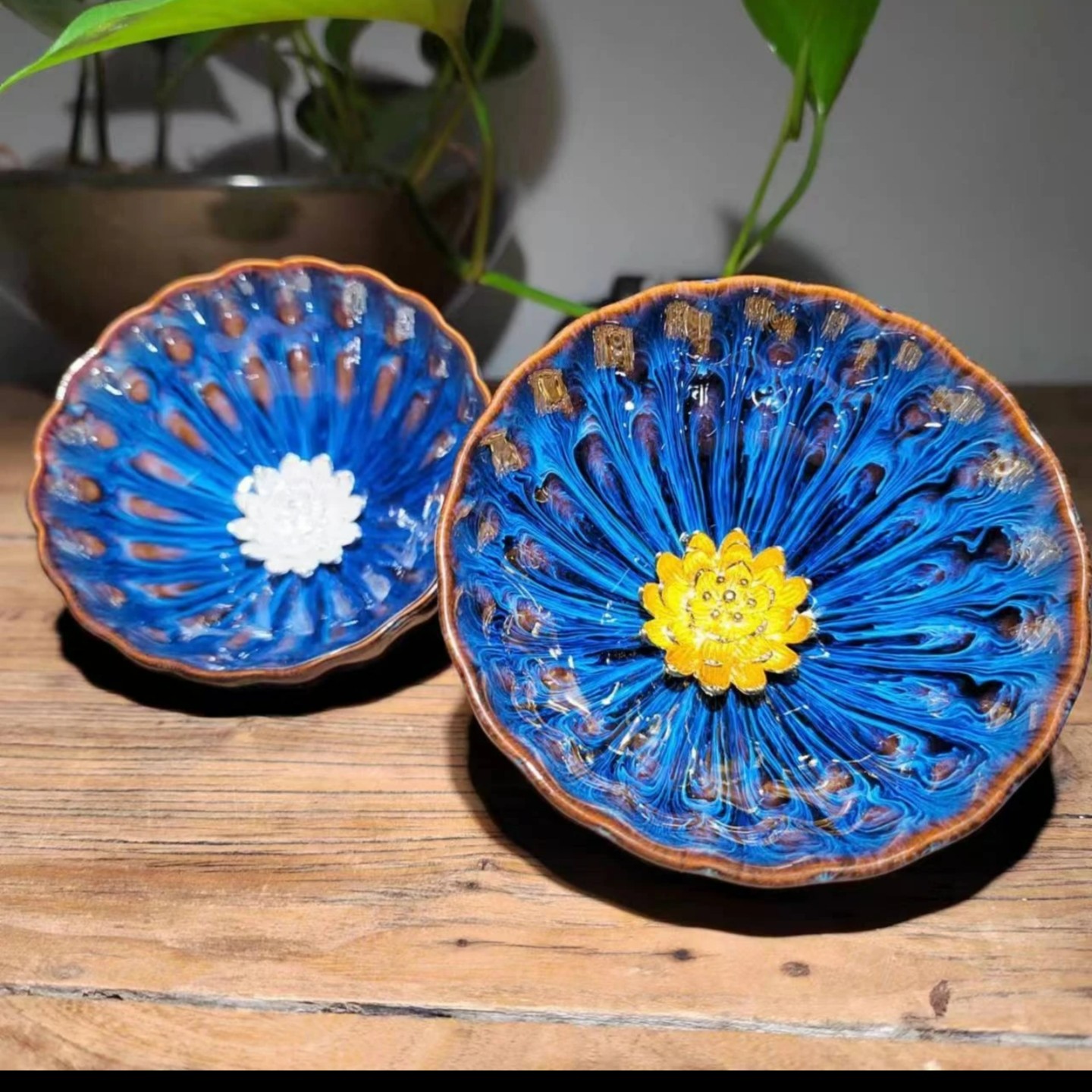【闪购商品】深海金莲花  银莲花A