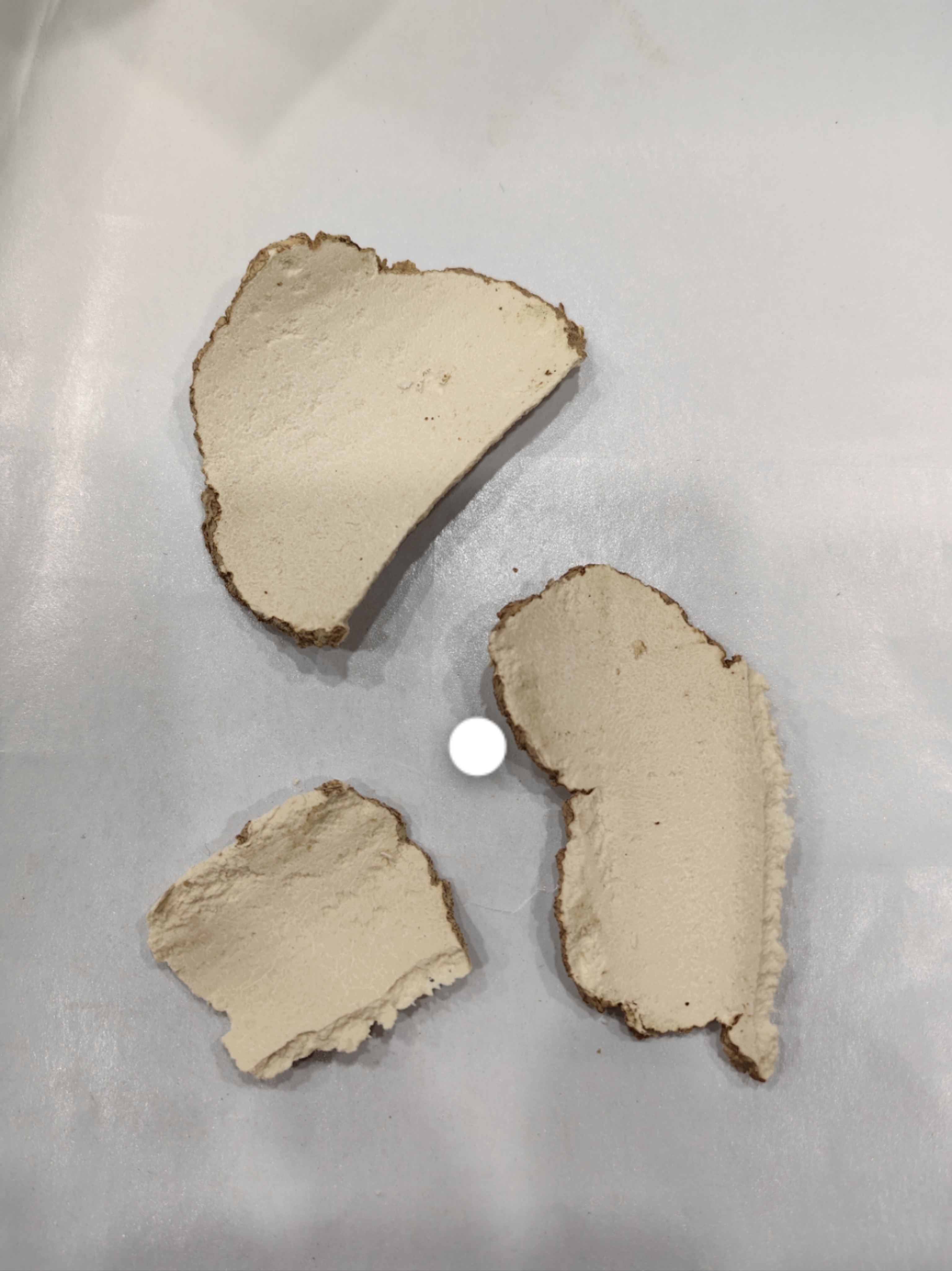 广东靓汤熊哥推荐芡实唬乳菌煮水250g唬乳菌