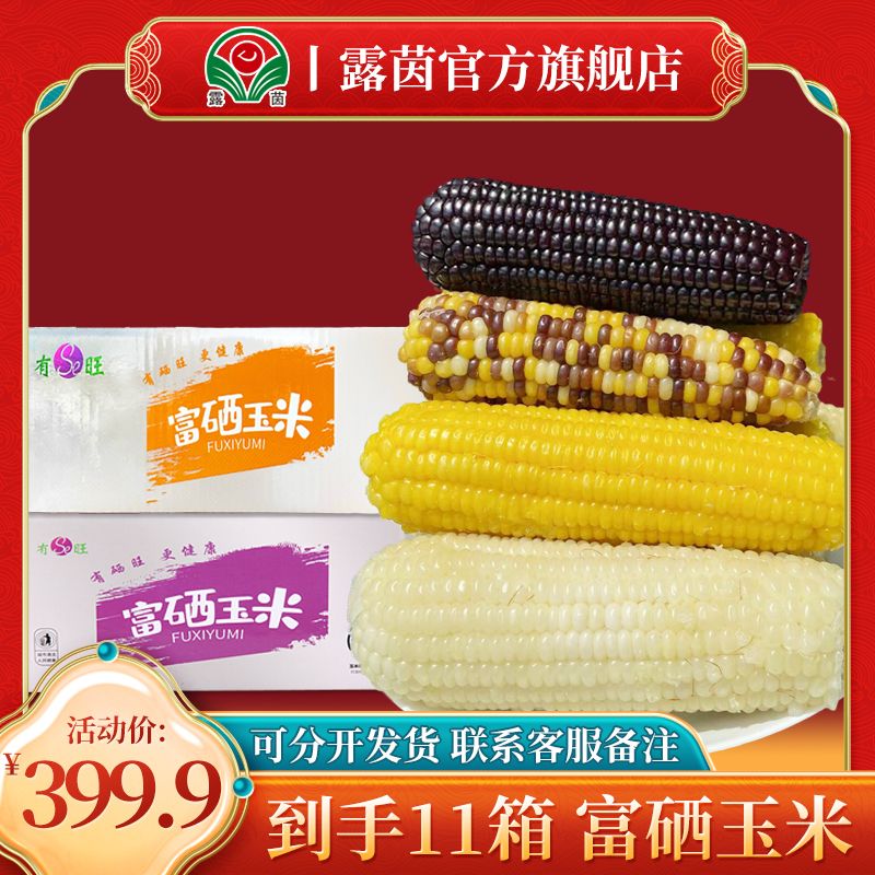 【露茵】拍10箱+1箱富硒非转基因 白/黄/黑/彩玉米5-6斤/箱 可挑选）