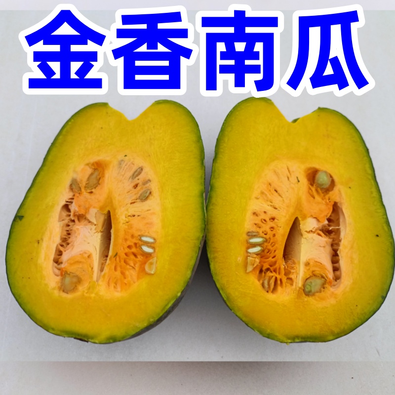 河南老南瓜老火锅品种北瓜粉糯甘甜可蒸可煮宝宝辅食儿童营养