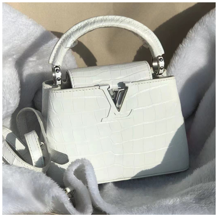 99新 LouisVuitton/路易威登  安洁利严选CAP手提包/bk88029