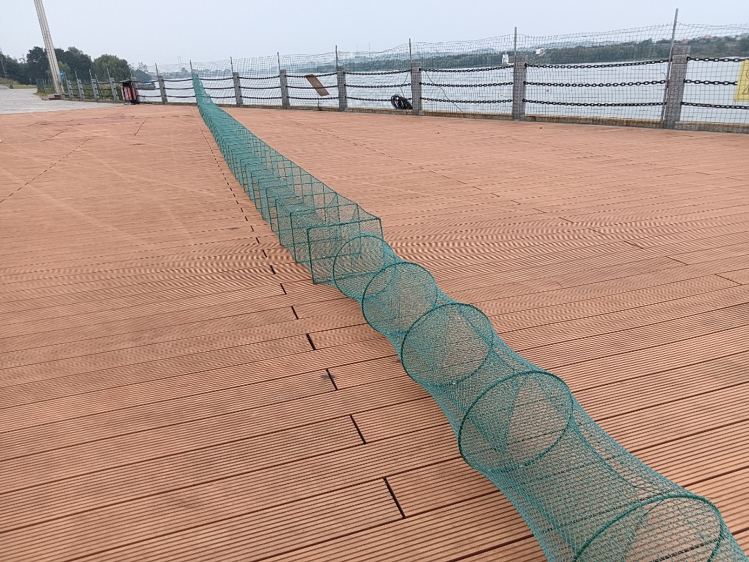 鲶鱼笼黄辣丁笼昂刺湖南鱼笼有结网地笼捕鱼网虾笼捕鱼笼虾网地网