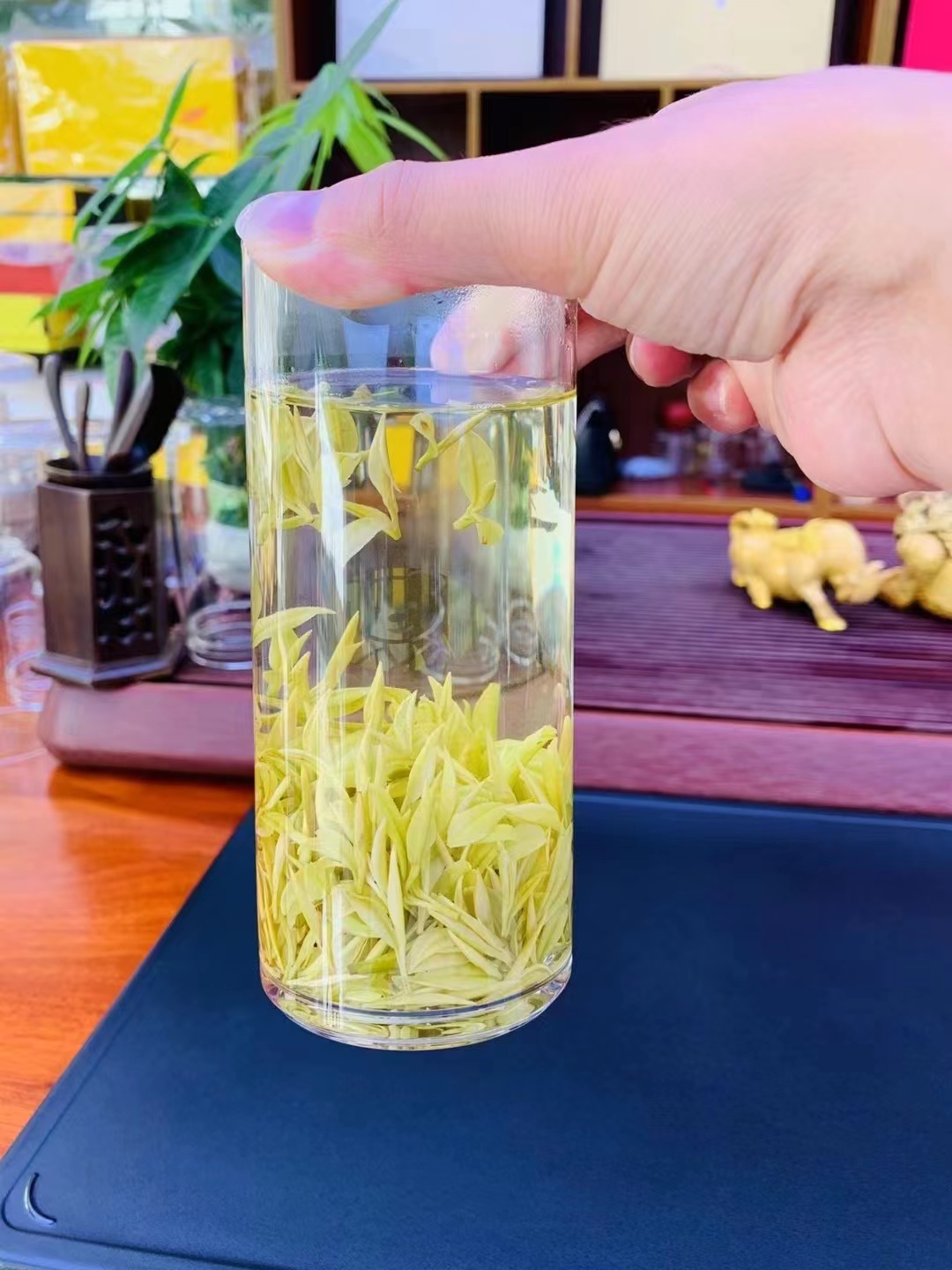 『大熊猫茶』25年新茶头采锟桐奶白茶N67款 奶香馥郁125g /250g