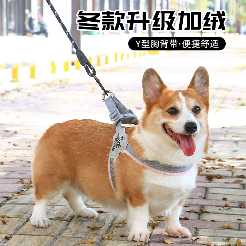 宠物狗狗胸背带秋冬款加绒外出户外牵引绳防爆冲狗绳专用背心式冬