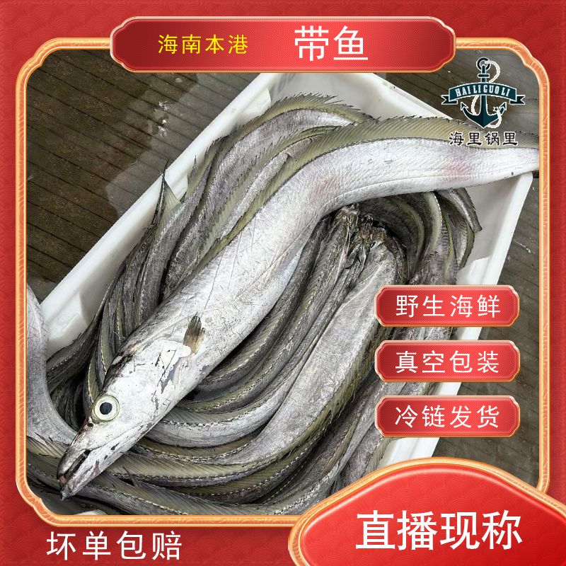 带鱼 海南渔民新鲜海钓 肉厚 味鲜 现称