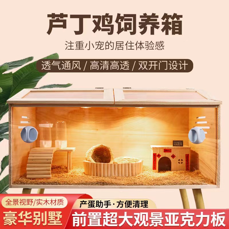 全套芦丁鸡饲养箱+送10个成年芦丁机