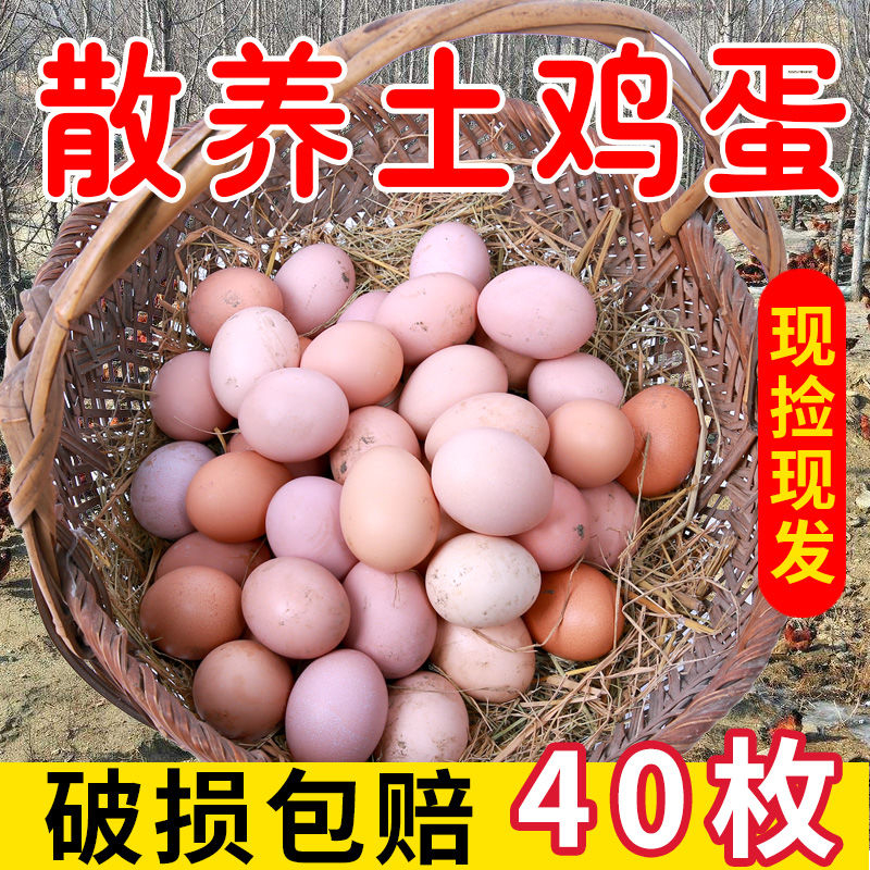 【新店浮力抢10枚】正宗谷物土鸡单个40g左右蛋现捡现发农家散养egg
