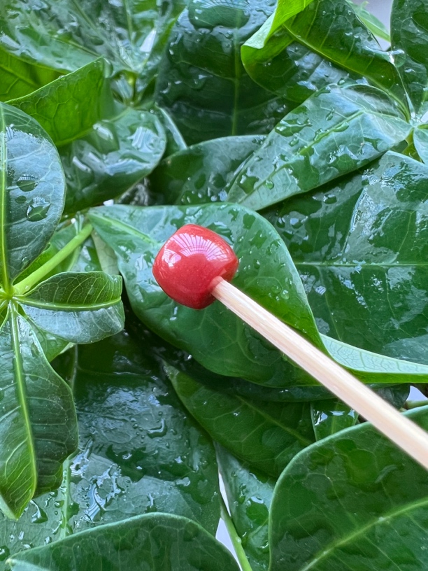 川料南红牛血红卡7mm精工直切单珠