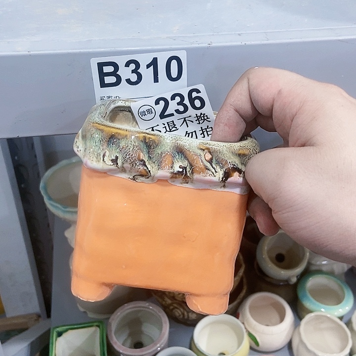 红陶20CM（含）-50CM（不含）