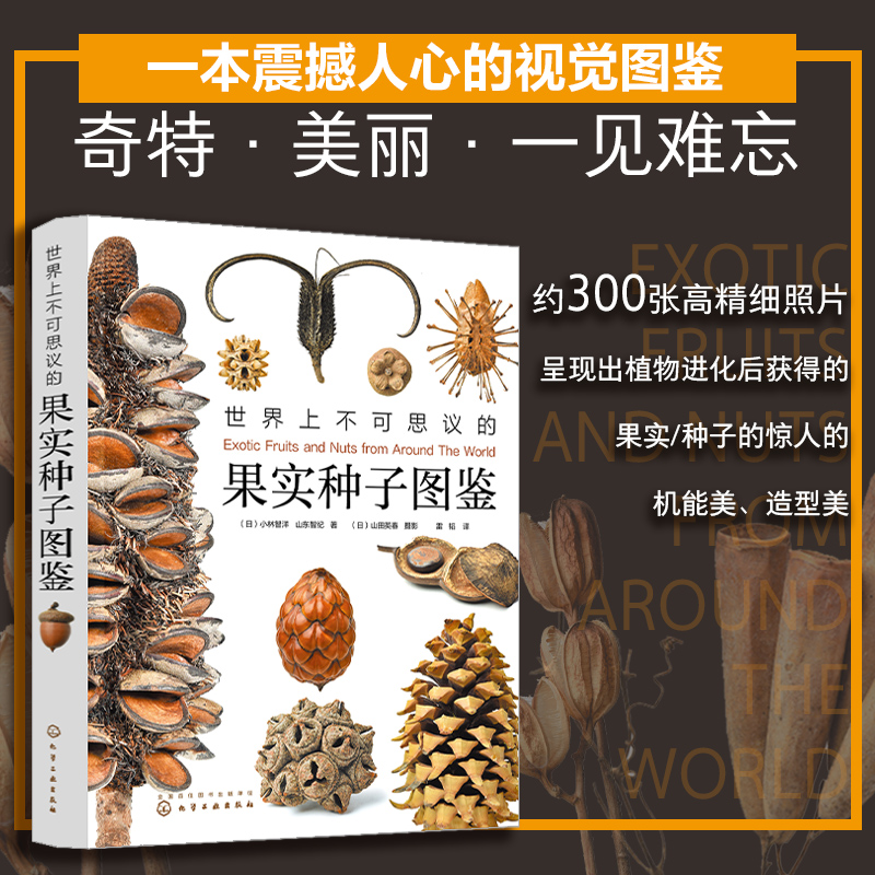 世界上不可思议的果实种子图鉴 植物科普图鉴自然【HXGY】