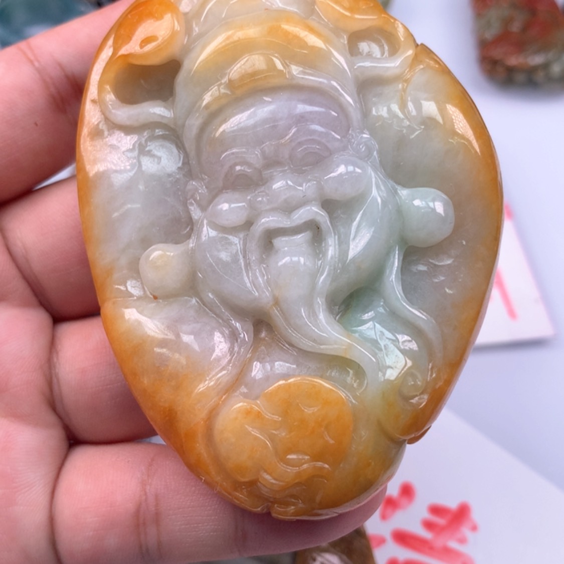 【闪购商品】翡翠颈饰未镶嵌