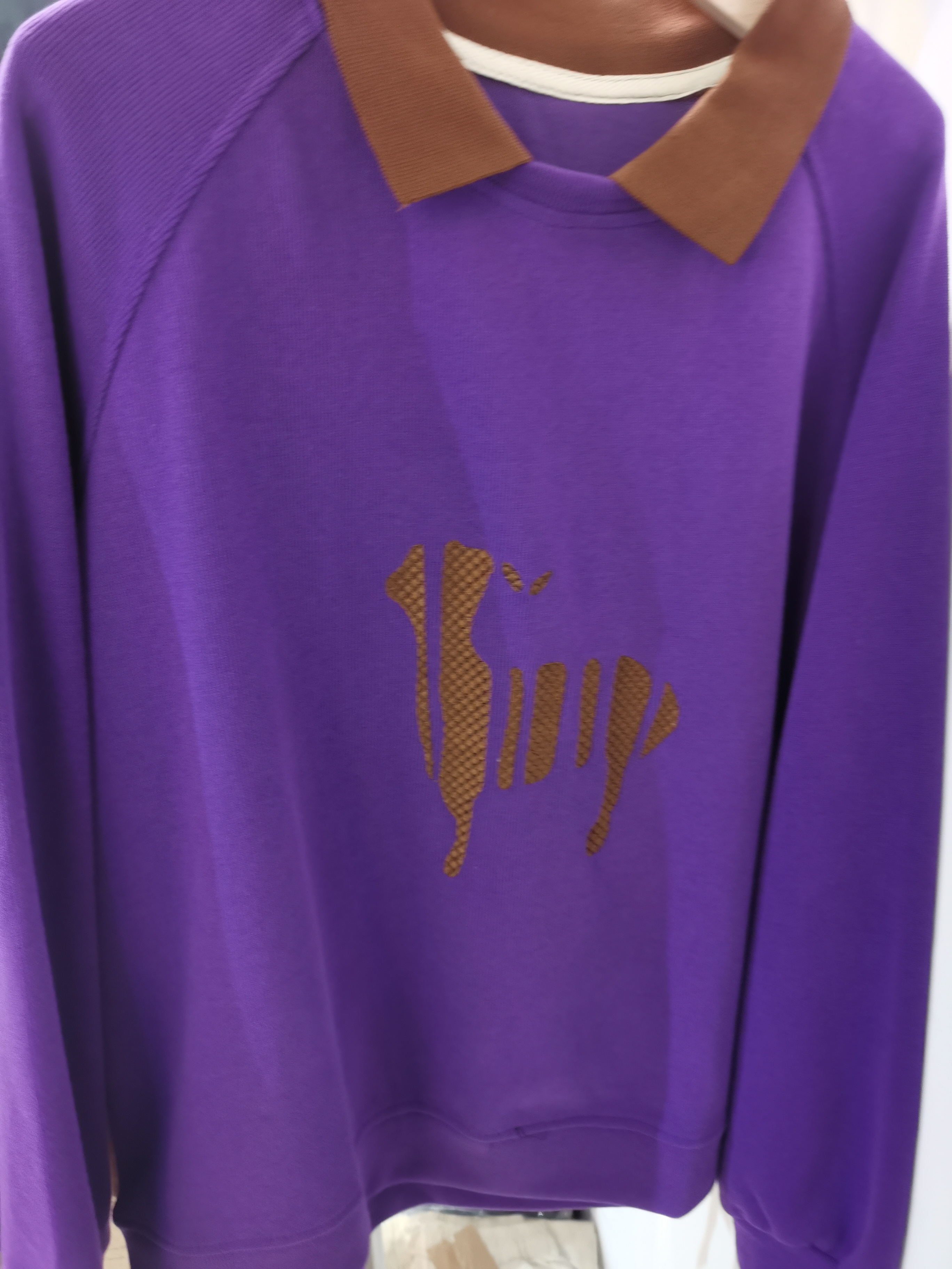 娃娃领休闲彩色卫衣