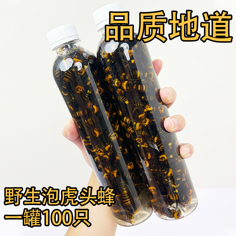 金环虎头野生土蜂现抓虎头蜂虎头蜂泡酒虎头蜂新鲜活蜂金环虎头蜂