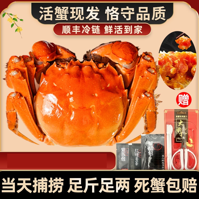 【活蟹】苏州大闸蟹3两重母8只礼盒装鲜活到家顺丰包邮