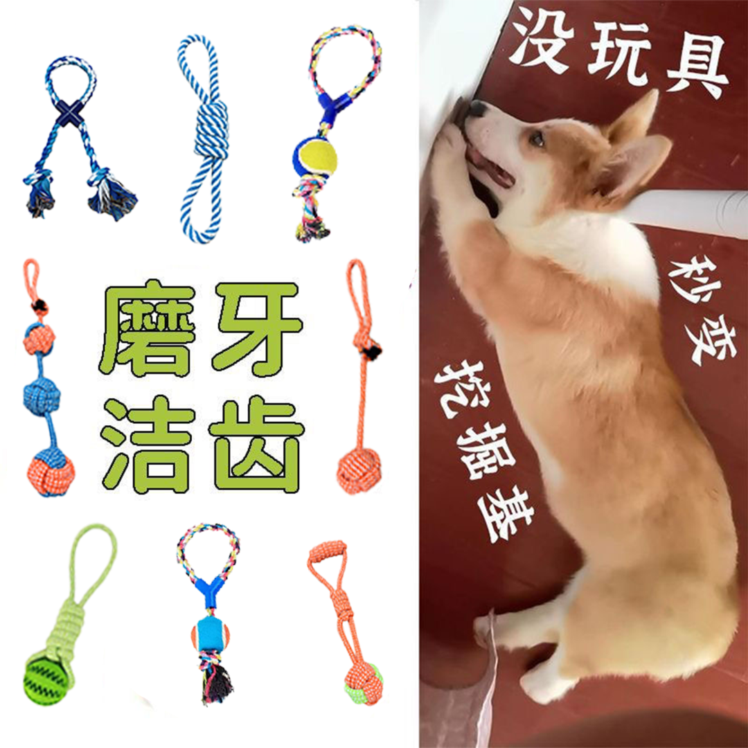 【宠物福利玩具】绳结磨牙狗狗磨牙自己狗狗玩具用品玩具小狗