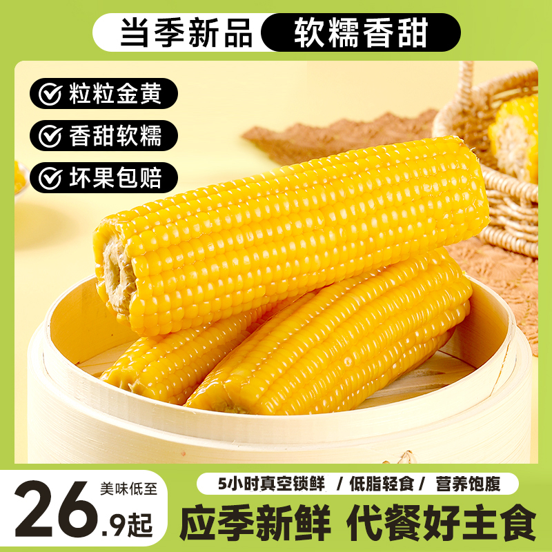 【试吃两根】东北黄糯玉米【精选大果260g-300g/根】轻食代餐甜糯玉米