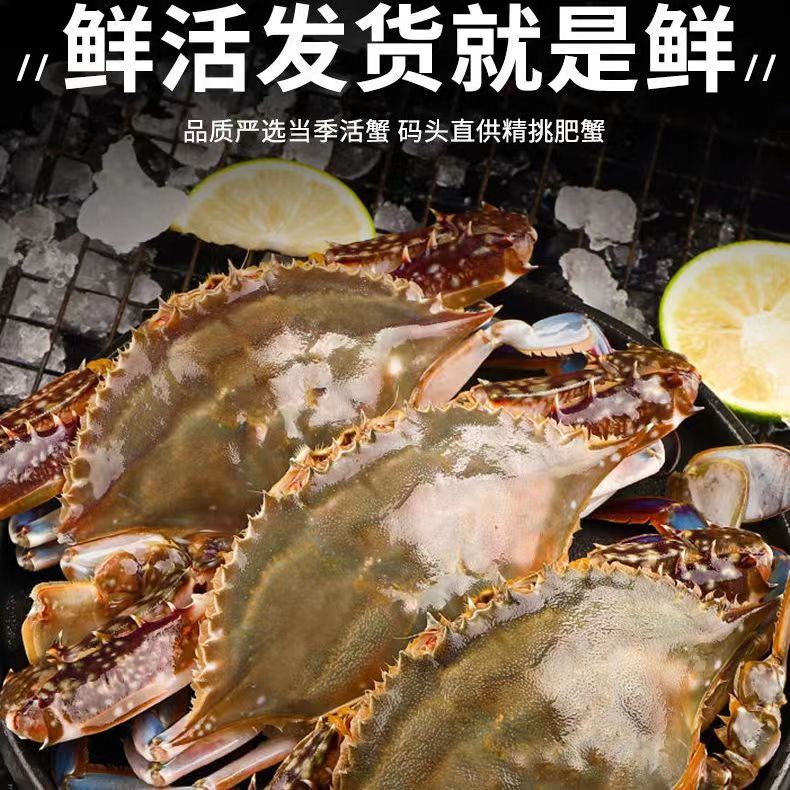 【保鲜不保活】肉母蟹梭子蟹单只3-5两每斤2-3只左右个别断臂