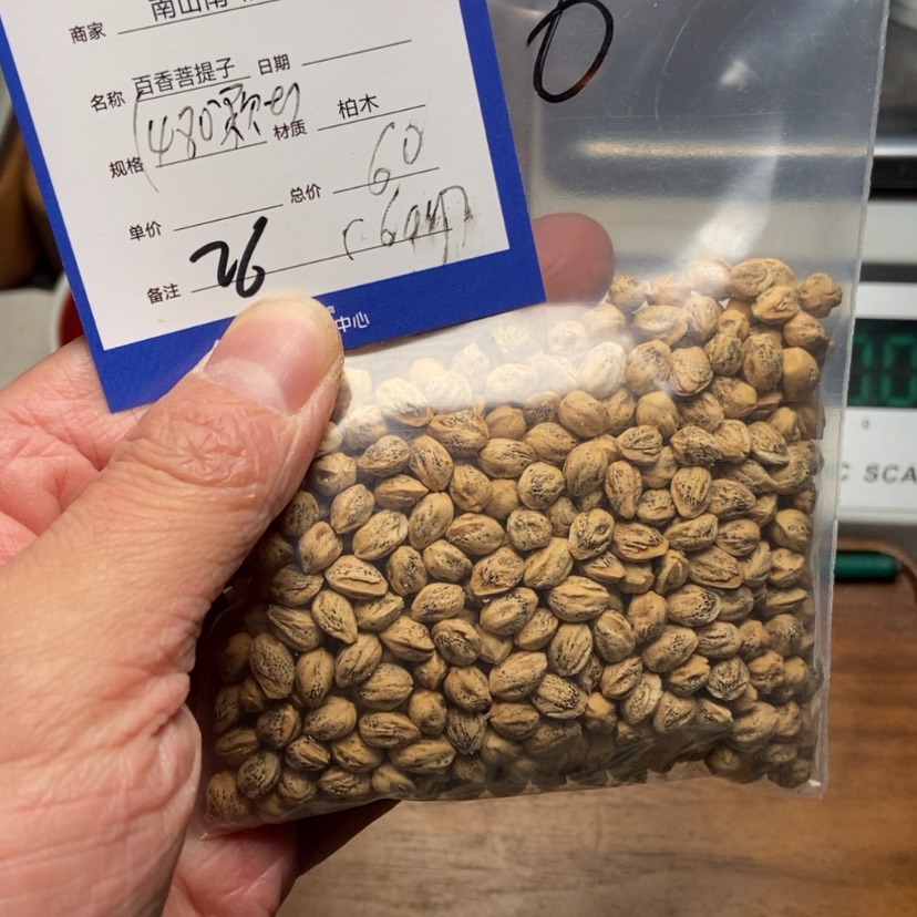 【闪购商品】柏香籽/百香籽吊坠Y****N