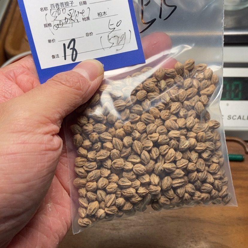 【闪购商品】柏香籽/百香籽吊坠沐*