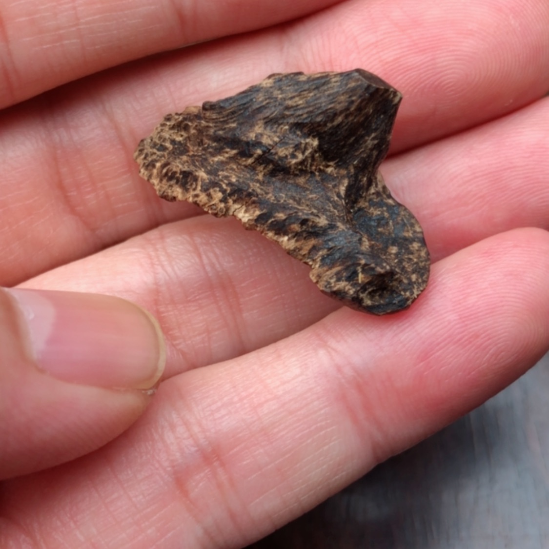 【闪购商品】空*空沉水 1.63克