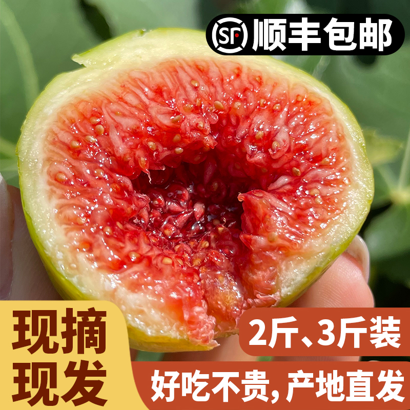 【中秋特价】威海特产2斤青皮无花果新鲜现摘48小时发货顺丰无农药