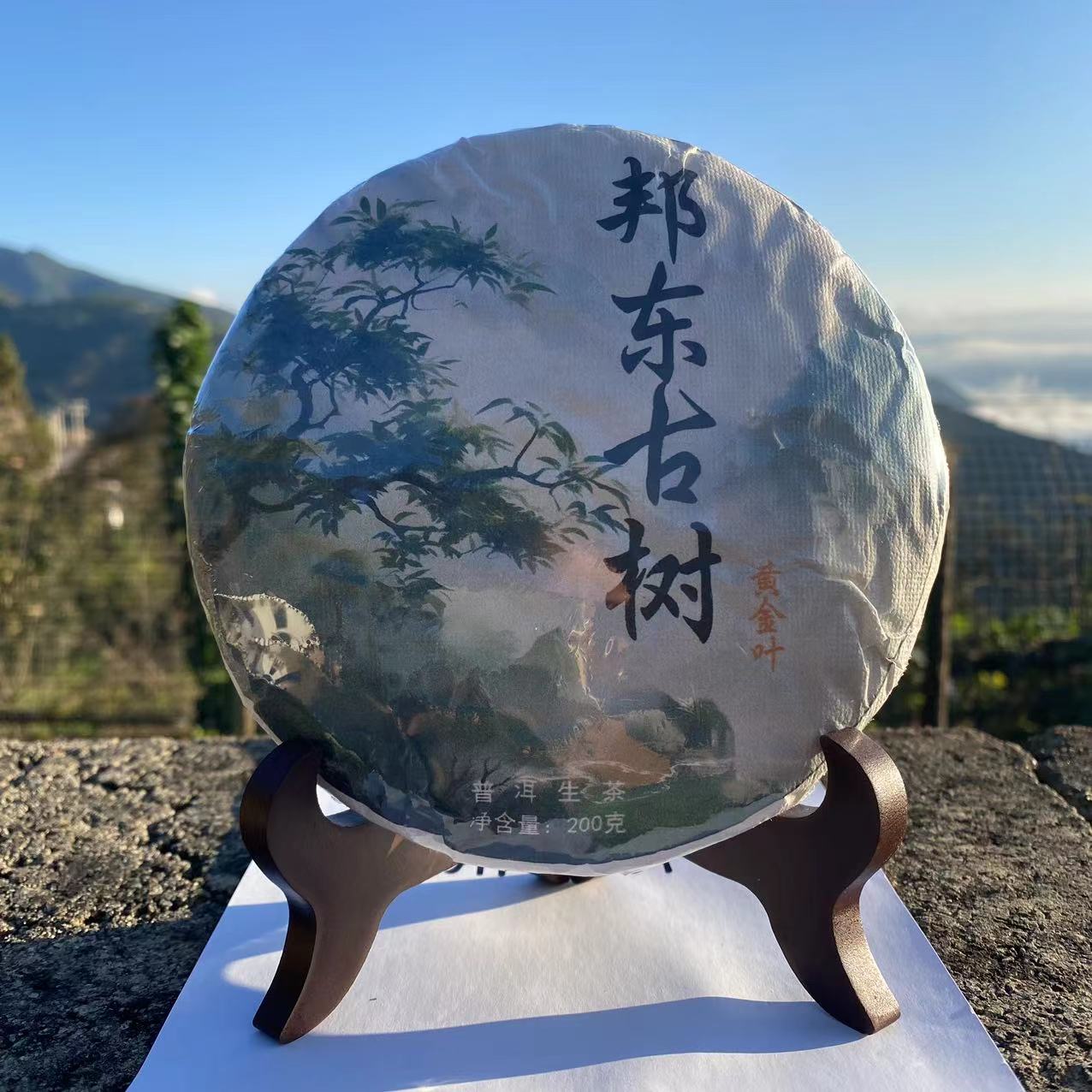 【福袋】邦东古树黄金叶茶饼（普洱茶）生茶200克