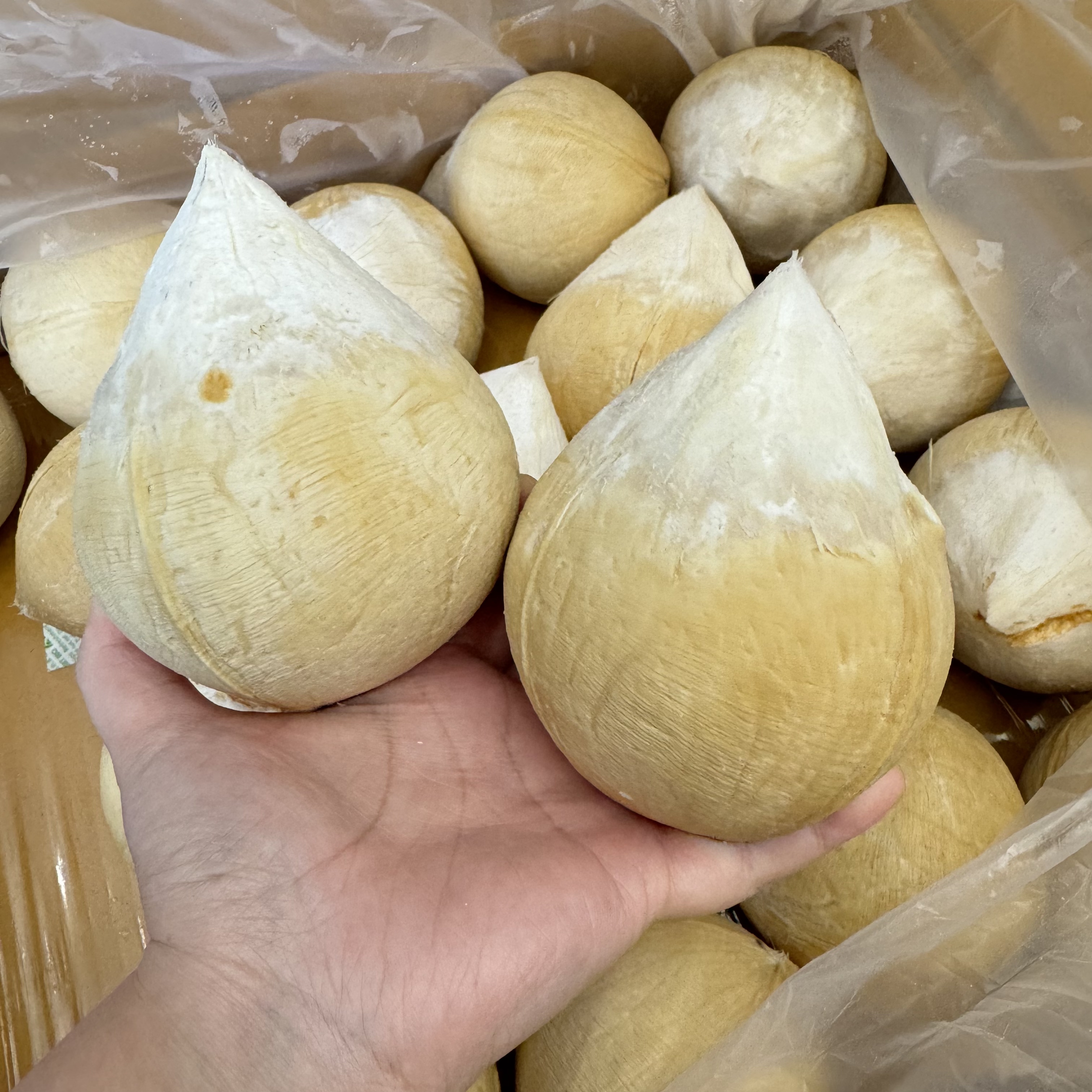 【大叔甄选】泰国老树 椰皇甜度高  4-6颗DS