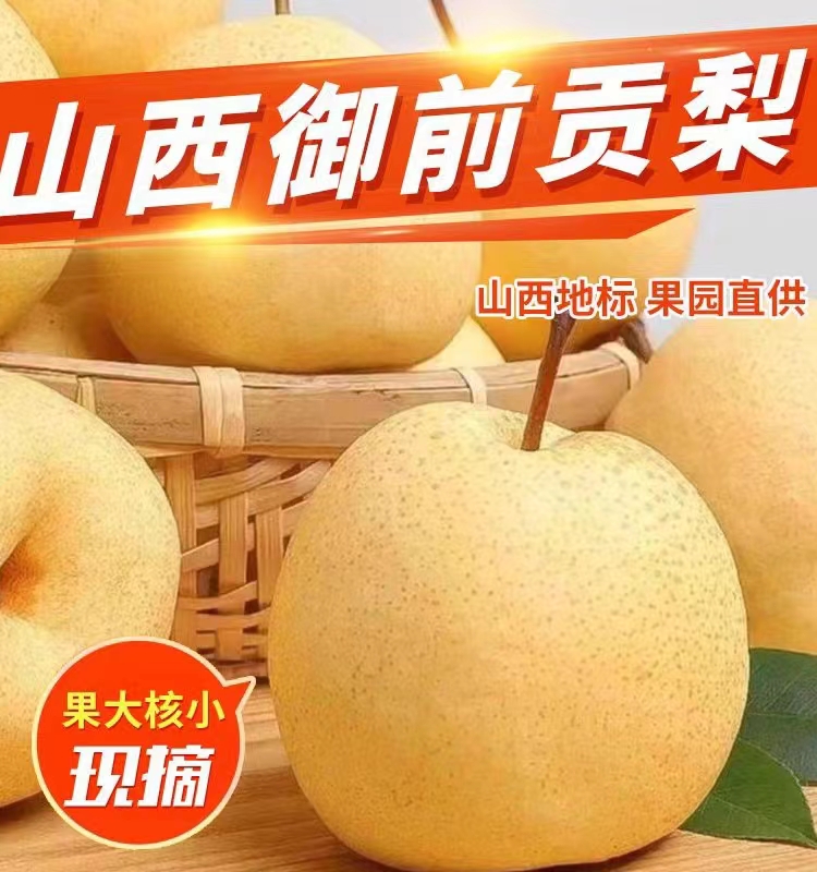 山西贡梨酥梨新鲜水果净重9斤包邮精品酥脆口感产地直发新鲜应季