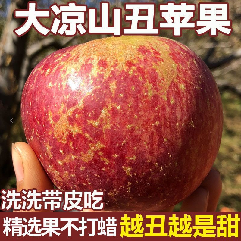 大凉山丑苹果新鲜水果当季现摘盐源红富士冰糖心苹果苹果冰糖心