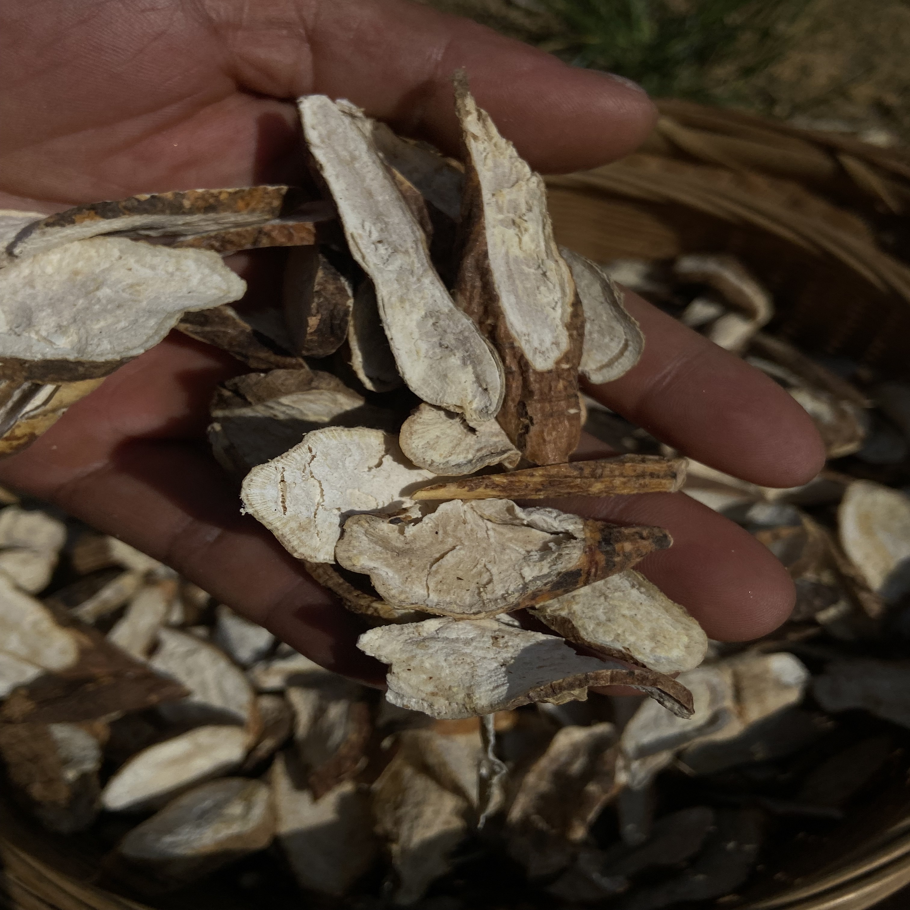 广西石头山上牛大力黑牛薯根茎煲汤煮茶鲜美甘甜味200g/400g