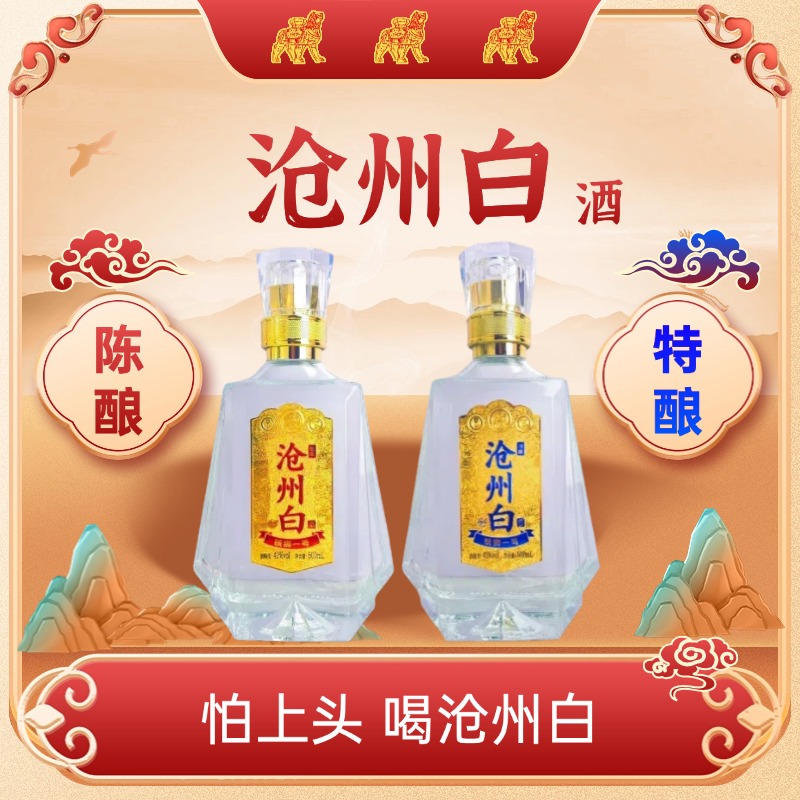 酒财人的 沧州白酒陈酿/特酿 原浆中段酒水优级纯粮酒42度500ml