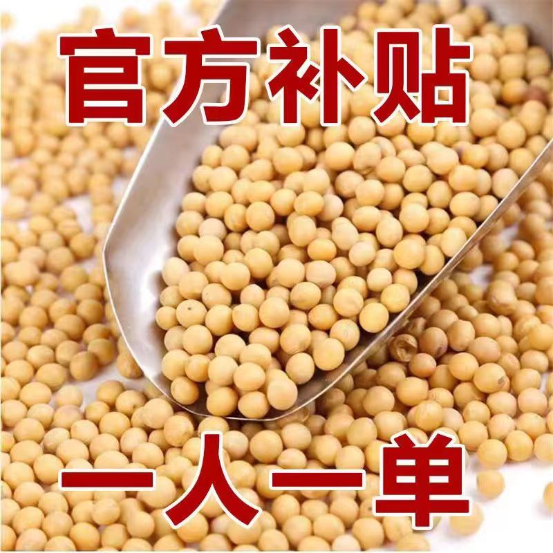 【12.9抢3斤】黄豆批发大豆2023东北非转基因农家自种大豆1500g