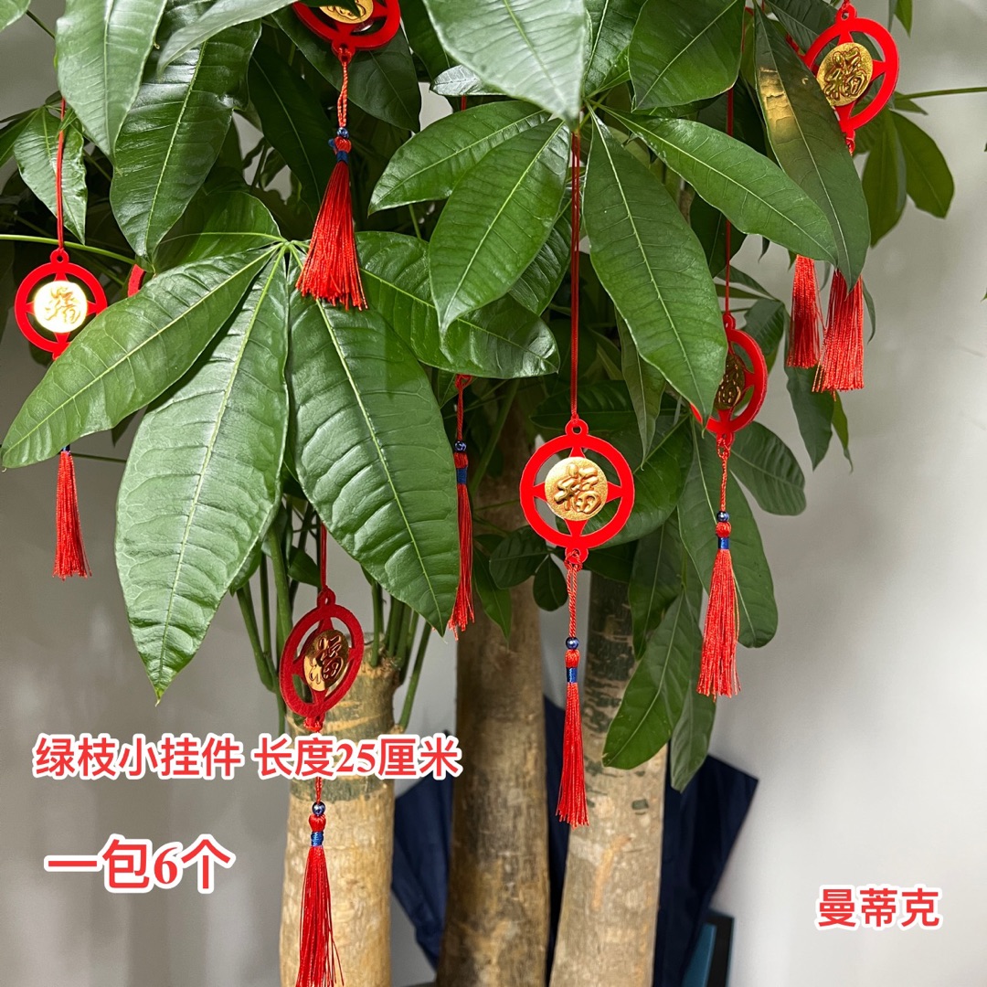 【曼蒂克直播专属】绿植小挂件客厅小号家居壁挂挂饰