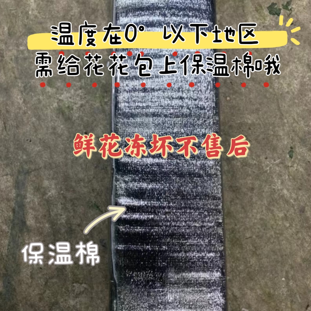 花材保温棉零度以下必须拍（所有鲜花冻坏不售后）