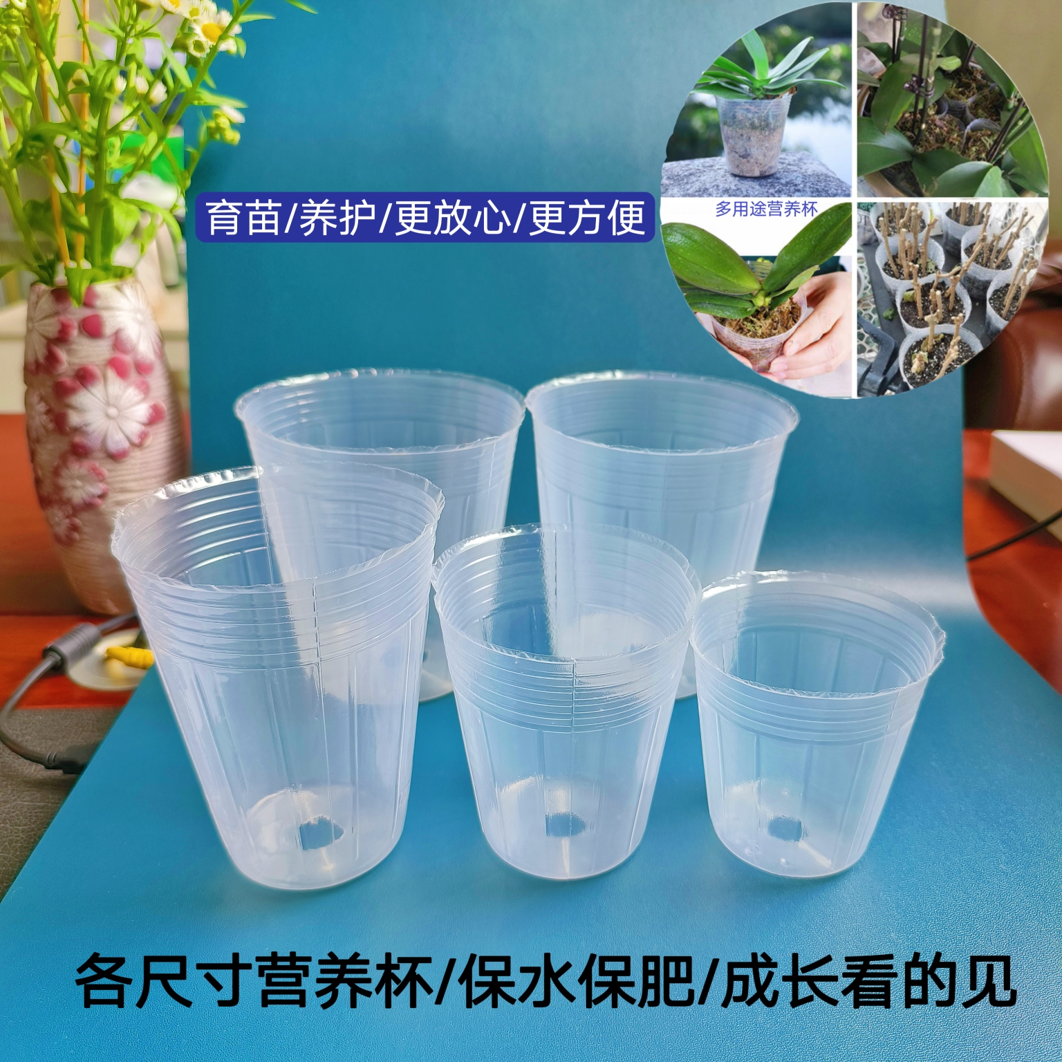 蝴蝶兰营养杯瓜果蔬菜育苗杯白色营养钵多肉石斛兰花透明营养杯