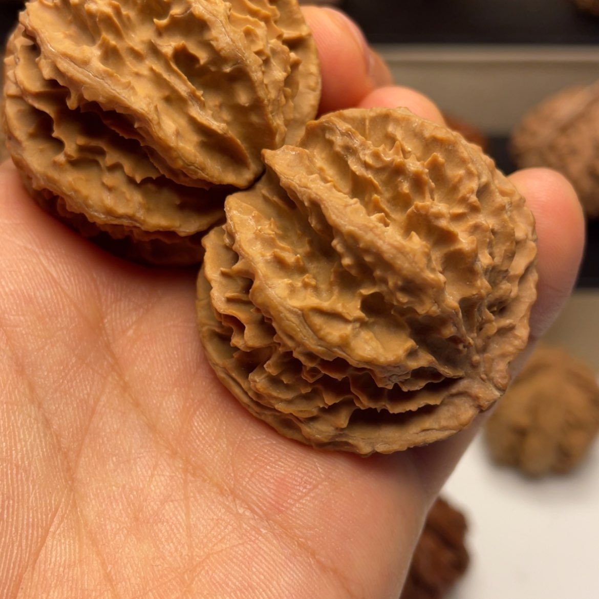 【闪购商品】秦岭的核桃