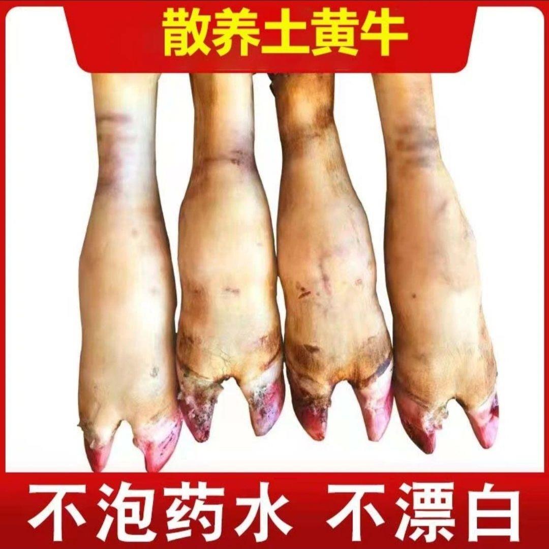 贵州牛脚牛蹄牛长蹄带骨整只切块生牛蹄带筋去毛牛爪新鲜冷冻