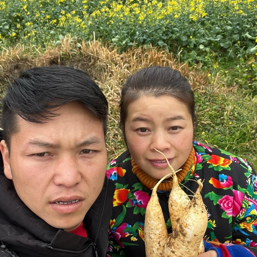 （顺丰包邮）小杨蔬菜水果链接