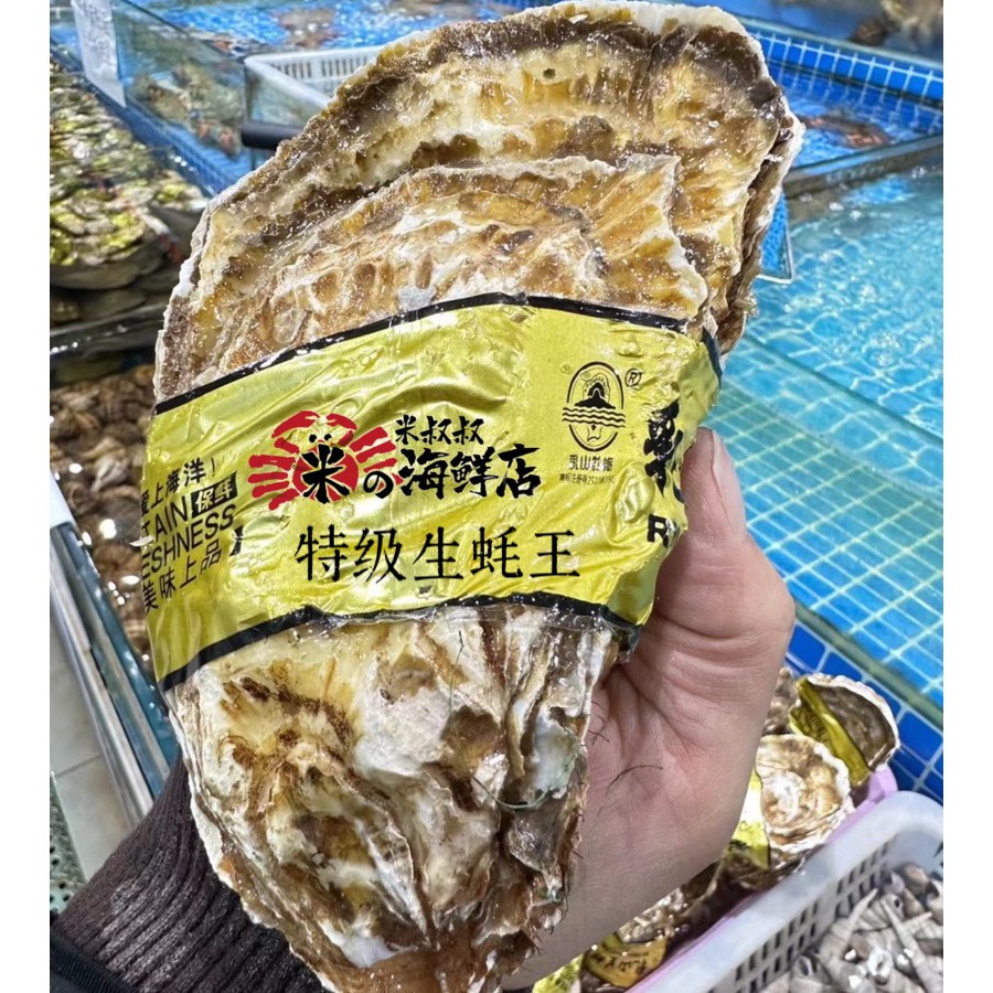生蚝（大合集）