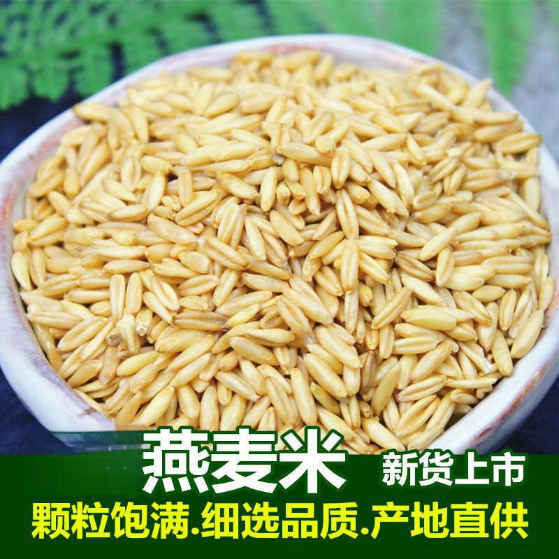 新货燕麦米农家自种燕麦仁荞麦米全胚芽燕麦五谷杂粮粗粮散装批发